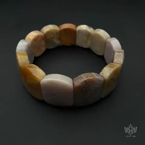 Fossil coral
