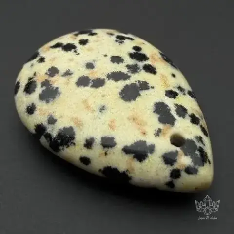 Dalmatian Jasper