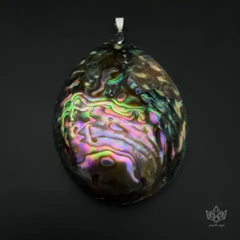 Abalone shell